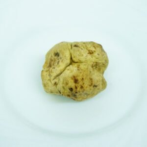 Trufa blanca fresca (Tuber magnatum)